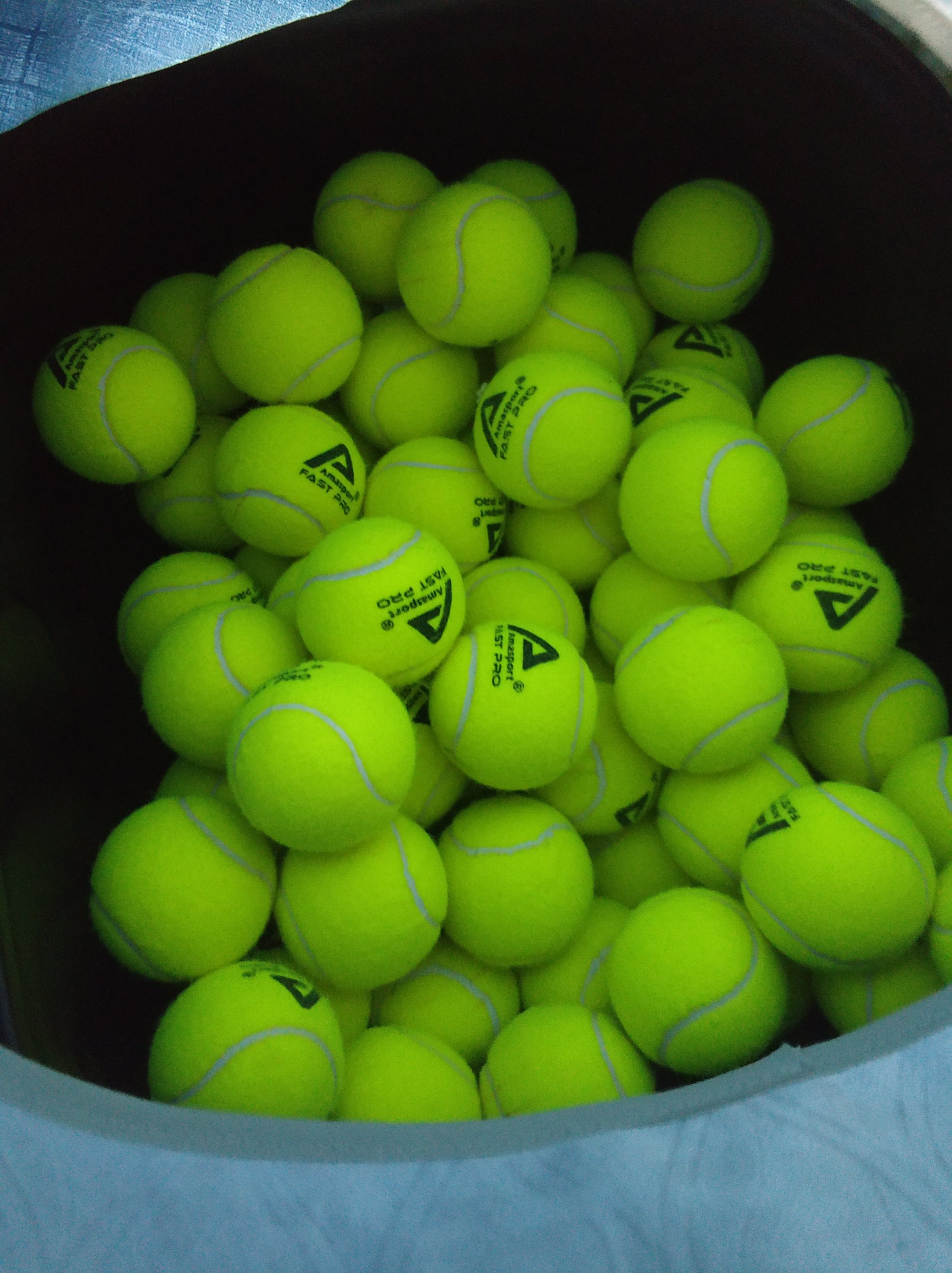 他们利用首 他们利用首